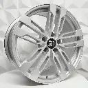 DX217 SILVER 01.webp